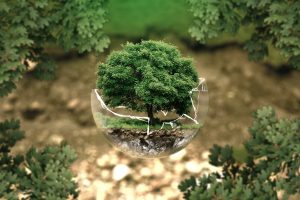 Träd i glaskupa. symboliserar miljö